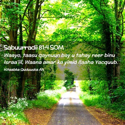 Picture 02 - Sabuurradii 81:4 SOM - Waayo, taasu qaynuun bay u tahay reer binu - Bible Verse Picture