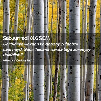 Picture 02 - Sabuurradii 81:6 SOM - Garbihiisa waxaan ka qaaday culaabtii saarnayd, - Bible Verse Picture