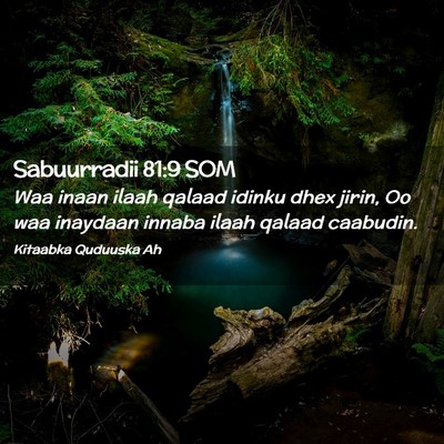 Picture 02 - Sabuurradii 81:9 SOM - Waa inaan ilaah qalaad idinku dhex jirin, Oo waa - Bible Verse Picture