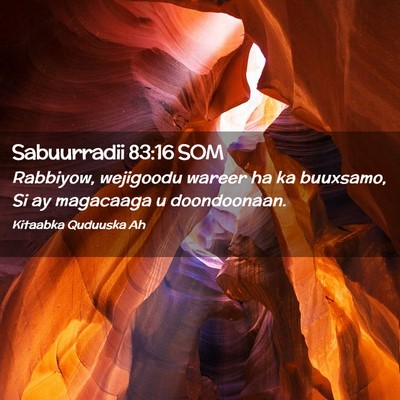 Picture 02 - Sabuurradii 83:16 SOM - Rabbiyow, wejigoodu wareer ha ka buuxsamo, Si ay - Bible Verse Picture