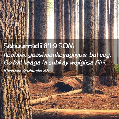 Picture 02 - Sabuurradii 84:9 SOM - Ilaahow, gaashaankayagiiyow, bal eeg, Oo bal - Bible Verse Picture