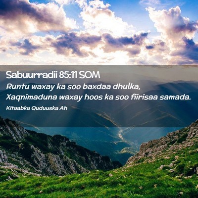 Picture 02 - Sabuurradii 85:11 SOM - Runtu waxay ka soo baxdaa dhulka, Xaqnimaduna - Bible Verse Picture