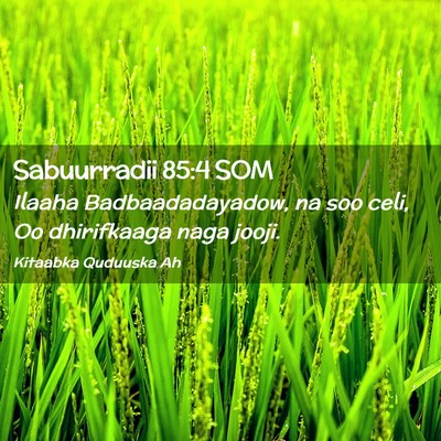 Picture 02 - Sabuurradii 85:4 SOM - Ilaaha Badbaadadayadow, na soo celi, Oo - Bible Verse Picture