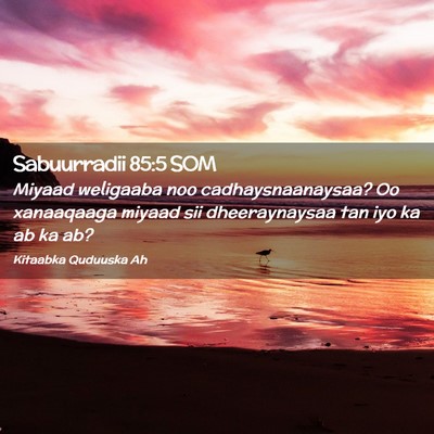 Picture 02 - Sabuurradii 85:5 SOM - Miyaad weligaaba noo cadhaysnaanaysaa? Oo - Bible Verse Picture