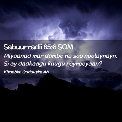 Picture 02 - Sabuurradii 85:6 SOM - Miyaanad mar dambe na soo noolaynayn, Si ay - Bible Verse Picture