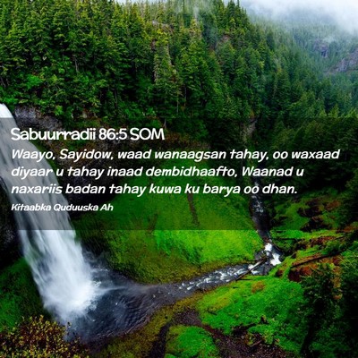Picture 02 - Sabuurradii 86:5 SOM - Waayo, Sayidow, waad wanaagsan tahay, oo waxaad - Bible Verse Picture