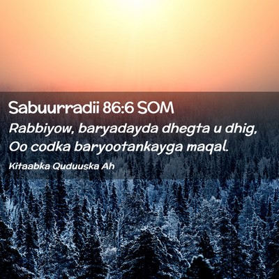 Picture 02 - Sabuurradii 86:6 SOM - Rabbiyow, baryadayda dhegta u dhig, Oo codka - Bible Verse Picture