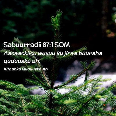 Picture 02 - Sabuurradii 87:1 SOM - Aasaaskiisu wuxuu ku jiraa buuraha quduuska - Bible Verse Picture