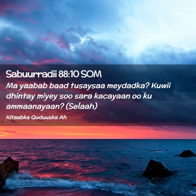 Picture 02 - Sabuurradii 88:10 SOM - Ma yaabab baad tusaysaa meydadka? Kuwii dhintay - Bible Verse Picture