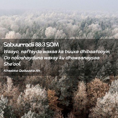 Picture 02 - Sabuurradii 88:3 SOM - Waayo, naftayda waxaa ka buuxa dhibaatooyin, Oo - Bible Verse Picture