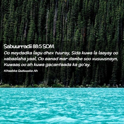Picture 02 - Sabuurradii 88:5 SOM - Oo meydadka lagu dhex tuuray, Sida kuwa la laayay - Bible Verse Picture