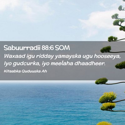 Picture 02 - Sabuurradii 88:6 SOM - Waxaad igu ridday yamayska ugu hooseeya, Iyo - Bible Verse Picture