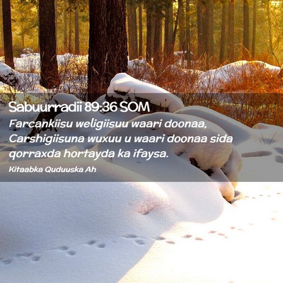 Picture 02 - Sabuurradii 89:36 SOM - Farcankiisu weligiisuu waari doonaa, - Bible Verse Picture