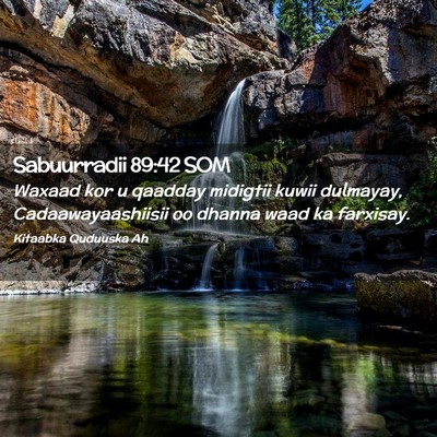 Picture 02 - Sabuurradii 89:42 SOM - Waxaad kor u qaadday midigtii kuwii dulmayay, - Bible Verse Picture