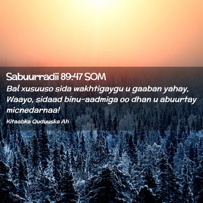 Picture 02 - Sabuurradii 89:47 SOM - Bal xusuuso sida wakhtigaygu u gaaban yahay, - Bible Verse Picture