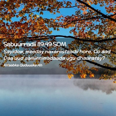 Picture 02 - Sabuurradii 89:49 SOM - Sayidow, meeday naxariistaadii hore, Oo aad - Bible Verse Picture