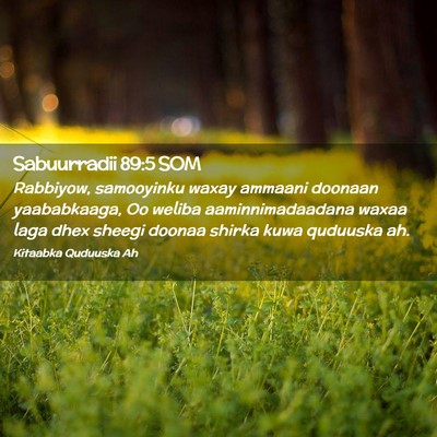 Picture 02 - Sabuurradii 89:5 SOM - Rabbiyow, samooyinku waxay ammaani doonaan - Bible Verse Picture