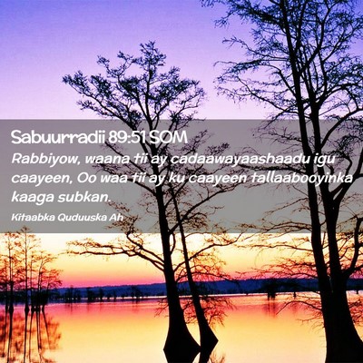 Picture 02 - Sabuurradii 89:51 SOM - Rabbiyow, waana tii ay cadaawayaashaadu igu - Bible Verse Picture