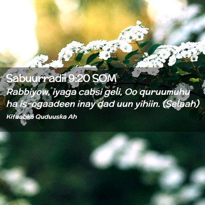 Picture 02 - Sabuurradii 9:20 SOM - Rabbiyow, iyaga cabsi geli, Oo quruumuhu ha - Bible Verse Picture
