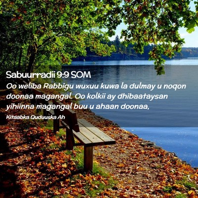 Picture 02 - Sabuurradii 9:9 SOM - Oo weliba Rabbigu wuxuu kuwa la dulmay u noqon - Bible Verse Picture