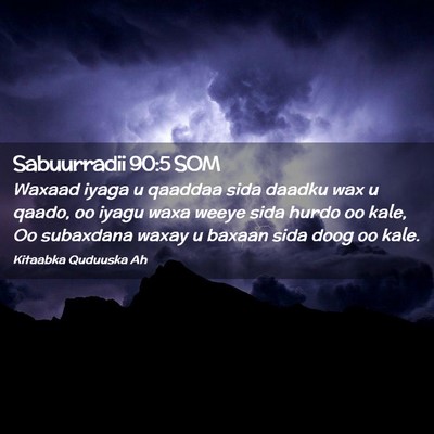 Picture 02 - Sabuurradii 90:5 SOM - Waxaad iyaga u qaaddaa sida daadku wax u qaado, - Bible Verse Picture