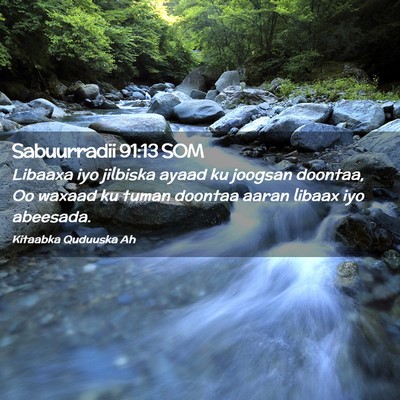 Picture 02 - Sabuurradii 91:13 SOM - Libaaxa iyo jilbiska ayaad ku joogsan doontaa, Oo - Bible Verse Picture