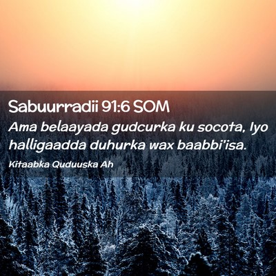 Picture 02 - Sabuurradii 91:6 SOM - Ama belaayada gudcurka ku socota, Iyo halligaadda - Bible Verse Picture