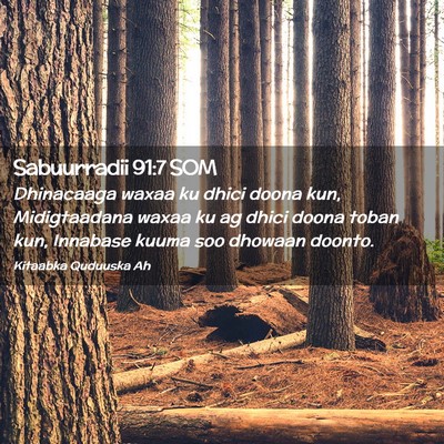Picture 02 - Sabuurradii 91:7 SOM - Dhinacaaga waxaa ku dhici doona kun, Midigtaadana - Bible Verse Picture