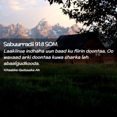 Picture 02 - Sabuurradii 91:8 SOM - Laakiinse indhaha uun baad ku fiirin doontaa, Oo - Bible Verse Picture
