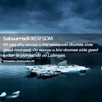 Picture 02 - Sabuurradii 92:12 SOM - Kii xaq ahu wuxuu u barwaaqoobi doonaa sida geed - Bible Verse Picture