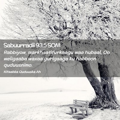 Picture 02 - Sabuurradii 93:5 SOM - Rabbiyow, markhaatifurkaagu waa hubaal, Oo - Bible Verse Picture