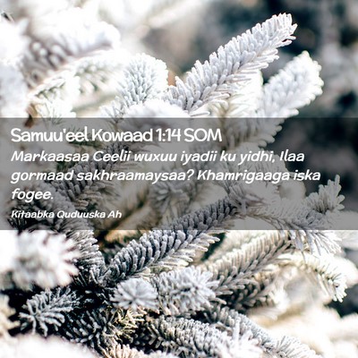Picture 02 - Samuu'eel Kowaad 1:14 SOM - Markaasaa Ceelii wuxuu iyadii ku yidhi, Ilaa - Bible Verse Picture