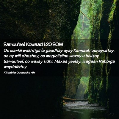 Picture 02 - Samuu'eel Kowaad 1:20 SOM - Oo markii wakhtigii la gaadhay ayay Xannaah - Bible Verse Picture