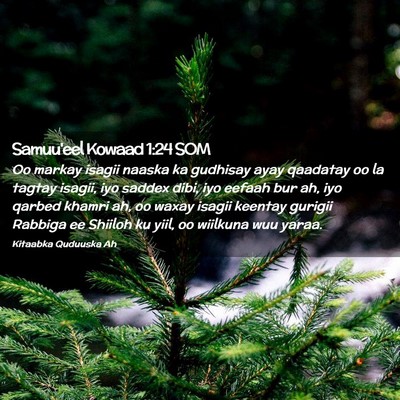 Picture 02 - Samuu'eel Kowaad 1:24 SOM - Oo markay isagii naaska ka gudhisay ayay qaadatay - Bible Verse Picture