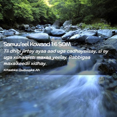 Picture 02 - Samuu'eel Kowaad 1:6 SOM - Tii dhibi jirtay ayaa aad uga cadhaysiisay, si ay - Bible Verse Picture