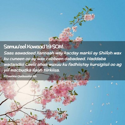 Picture 02 - Samuu'eel Kowaad 1:9 SOM - Saas aawadeed Xannaah way kacday markii ay - Bible Verse Picture