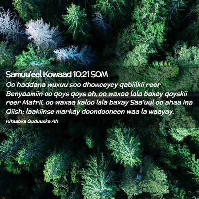 Picture 02 - Samuu'eel Kowaad 10:21 SOM - Oo haddana wuxuu soo dhoweeyey qabiilkii reer - Bible Verse Picture