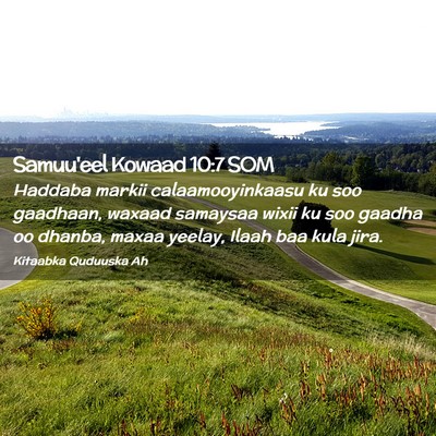 Picture 02 - Samuu'eel Kowaad 10:7 SOM - Haddaba markii calaamooyinkaasu ku soo gaadhaan, - Bible Verse Picture