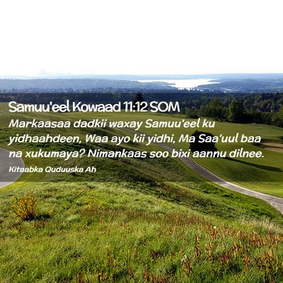 Picture 02 - Samuu'eel Kowaad 11:12 SOM - Markaasaa dadkii waxay Samuu'eel ku yidhaahdeen, - Bible Verse Picture