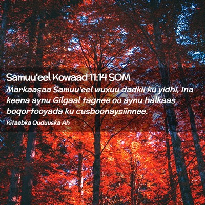 Picture 02 - Samuu'eel Kowaad 11:14 SOM - Markaasaa Samuu'eel wuxuu dadkii ku yidhi, Ina - Bible Verse Picture