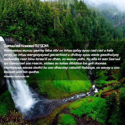 Picture 02 - Samuu'eel Kowaad 11:7 SOM - Markaasuu wuxuu qaatay laba dibi oo intuu qalay - Bible Verse Picture
