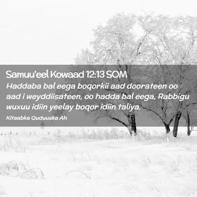 Picture 02 - Samuu'eel Kowaad 12:13 SOM - Haddaba bal eega boqorkii aad doorateen oo aad i - Bible Verse Picture