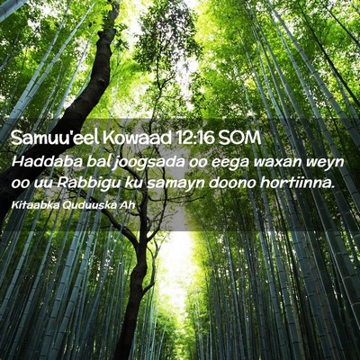 Picture 02 - Samuu'eel Kowaad 12:16 SOM - Haddaba bal joogsada oo eega waxan weyn oo uu - Bible Verse Picture