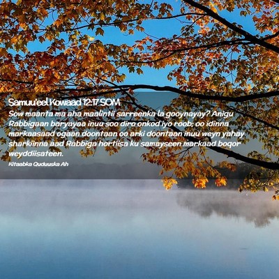 Picture 02 - Samuu'eel Kowaad 12:17 SOM - Sow maanta ma aha maalintii sarreenka la - Bible Verse Picture