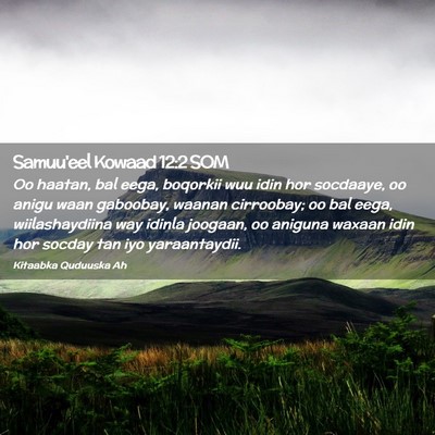 Picture 02 - Samuu'eel Kowaad 12:2 SOM - Oo haatan, bal eega, boqorkii wuu idin hor - Bible Verse Picture