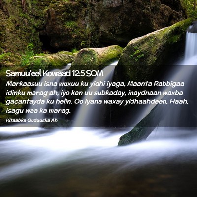 Picture 02 - Samuu'eel Kowaad 12:5 SOM - Markaasuu isna wuxuu ku yidhi iyaga, Maanta - Bible Verse Picture