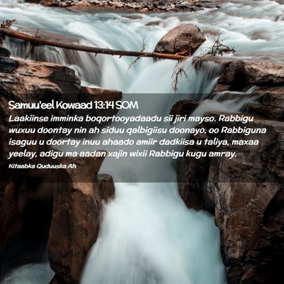 Picture 02 - Samuu'eel Kowaad 13:14 SOM - Laakiinse imminka boqortooyadaadu sii jiri mayso. - Bible Verse Picture