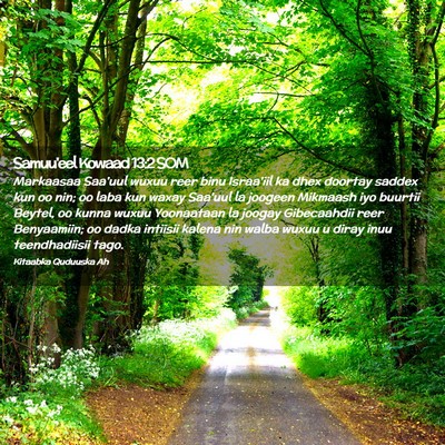Picture 02 - Samuu'eel Kowaad 13:2 SOM - Markaasaa Saa'uul wuxuu reer binu Israa'iil ka - Bible Verse Picture