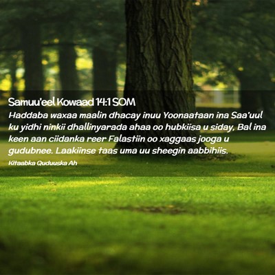Picture 02 - Samuu'eel Kowaad 14:1 SOM - Haddaba waxaa maalin dhacay inuu Yoonaataan ina - Bible Verse Picture