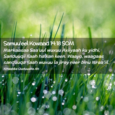 Picture 02 - Samuu'eel Kowaad 14:18 SOM - Markaasaa Saa'uul wuxuu Axiiyaah ku yidhi, - Bible Verse Picture